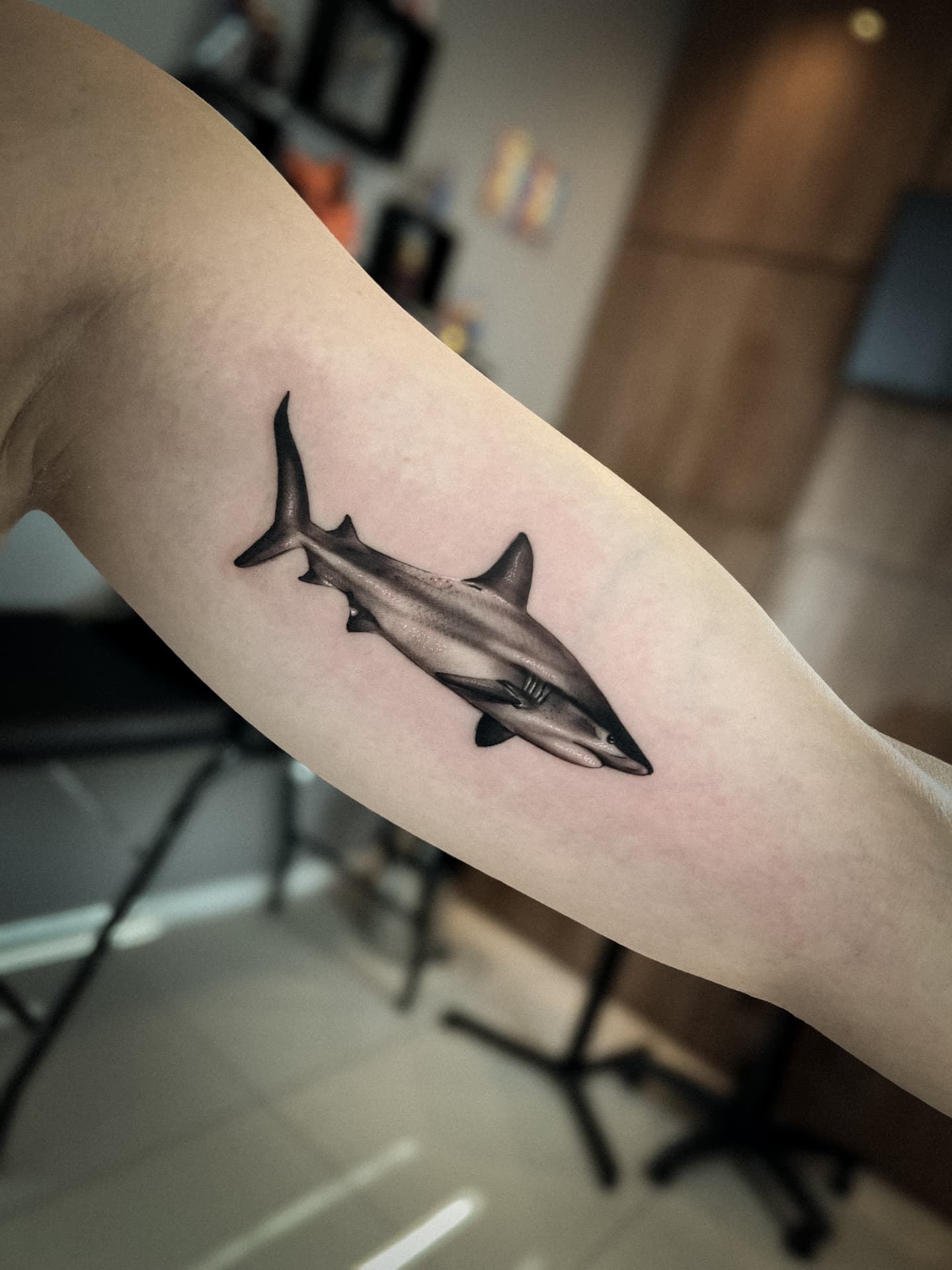 Tatuagem micro-realista de tubarão