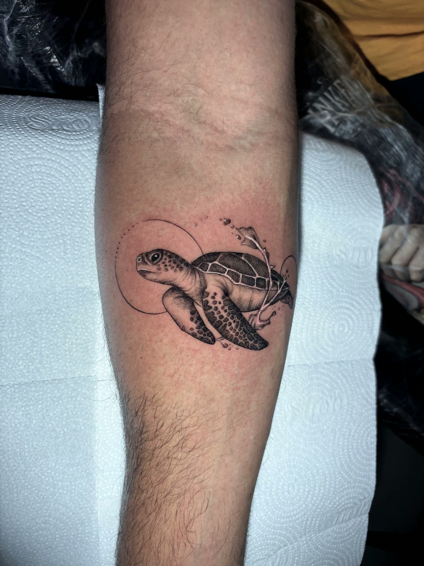 Tatuagem fine line de tartaruga